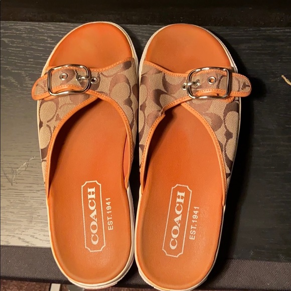 Coach Slides - Picture 4 of 4